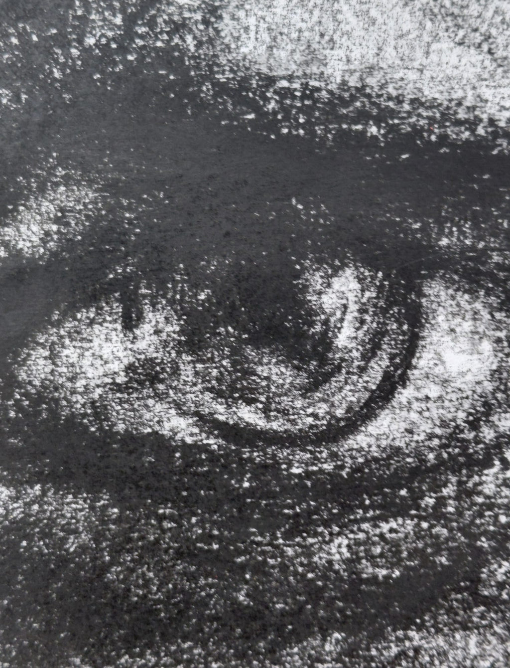 Ritratto Femminile a Carboncino – Disegno Artistico Incorniciato