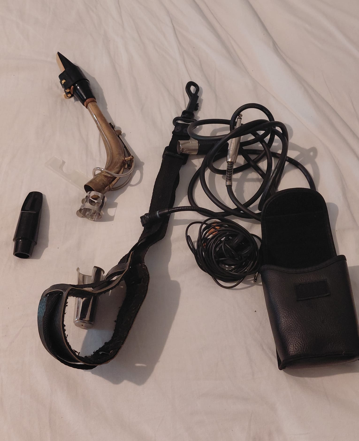 Saxofono contralto con custodia e accessori
