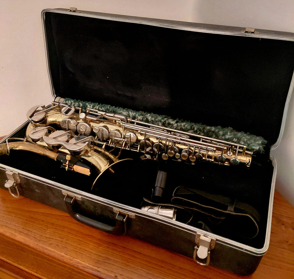 Saxofono contralto completo con custodia