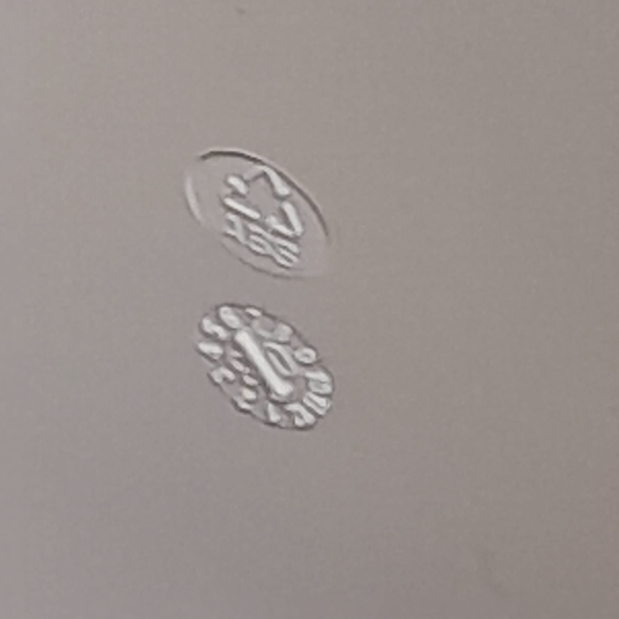 Char bag Dior original