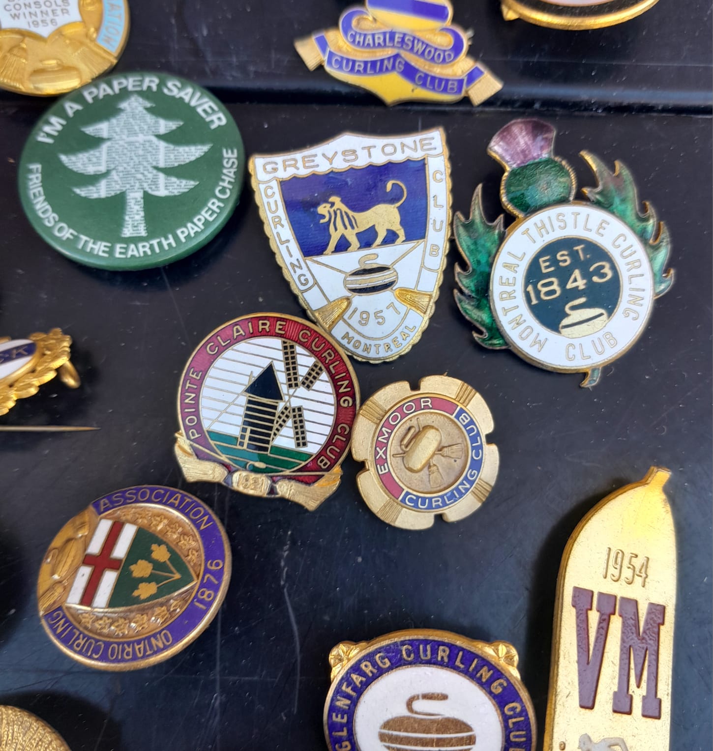 Collezione di più di 100 spilla