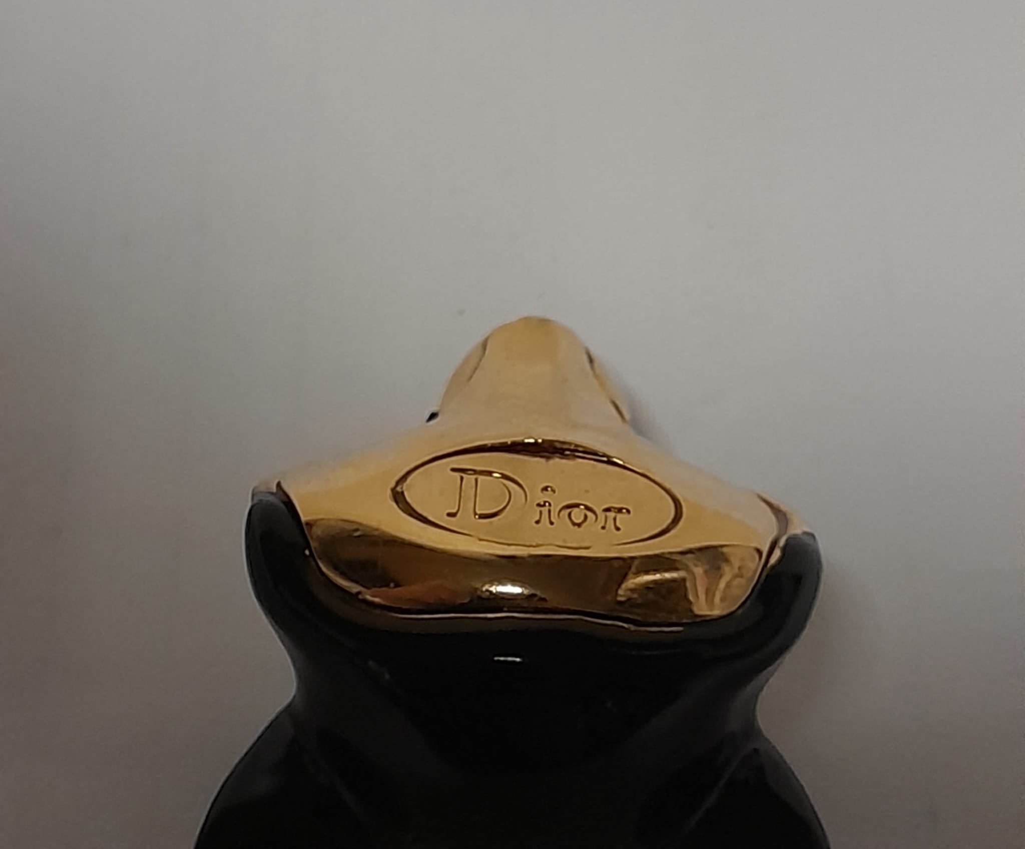 Char bag Dior original